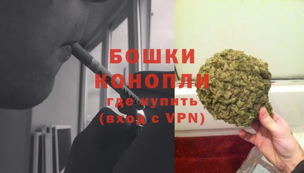 крисы Елизово