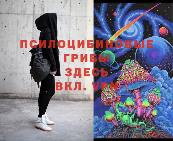 мдма Ельня