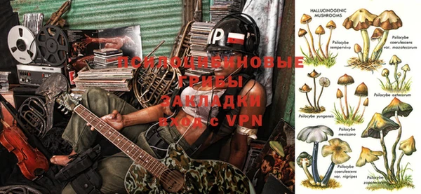крисы Елизово