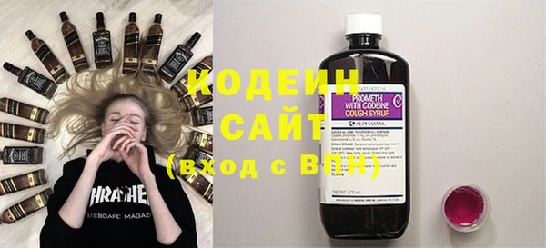 крисы Елизово
